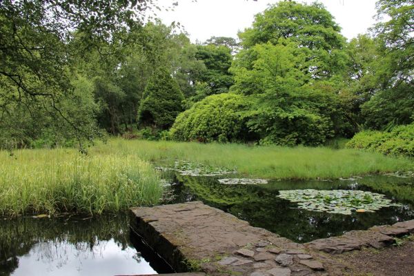 Gallowhill and The Drowning Pond